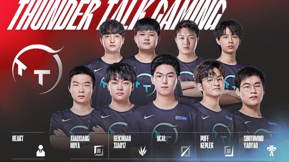 维萨的加盟 维萨的加盟