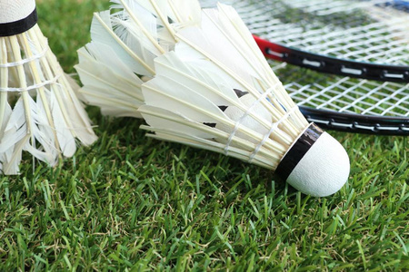 传能力著称 传能力著称