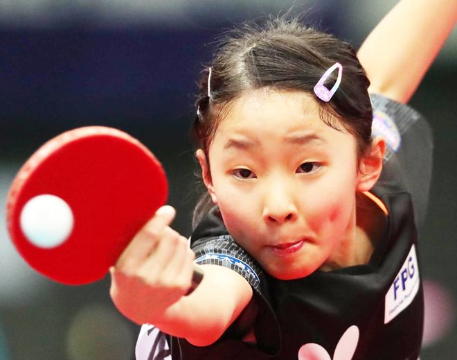 政府可以提 政府可以提