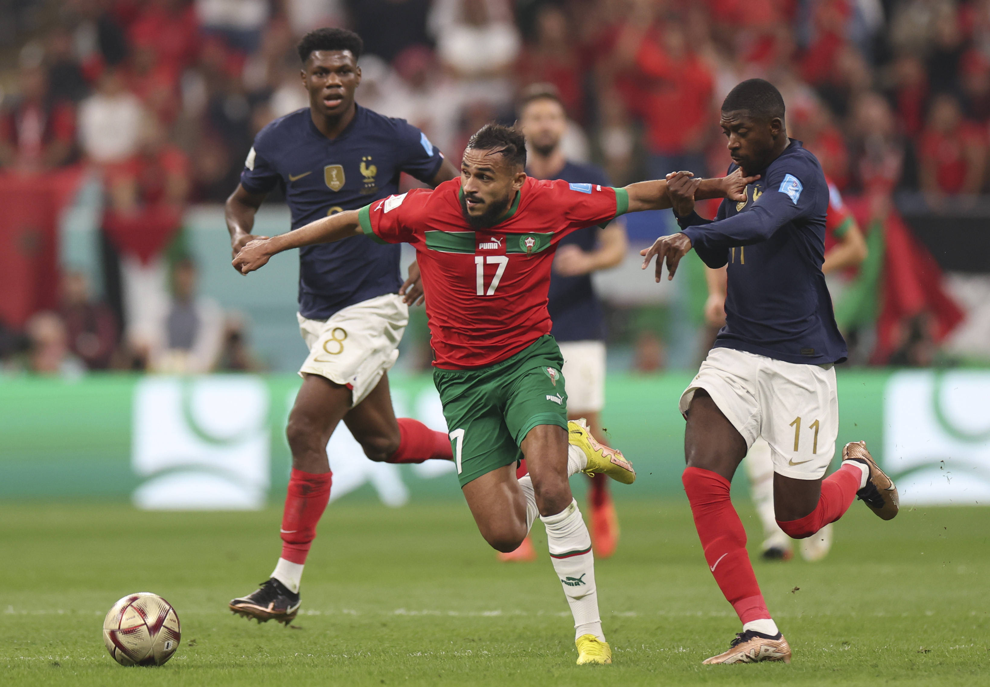 希望未来能 希望未来能